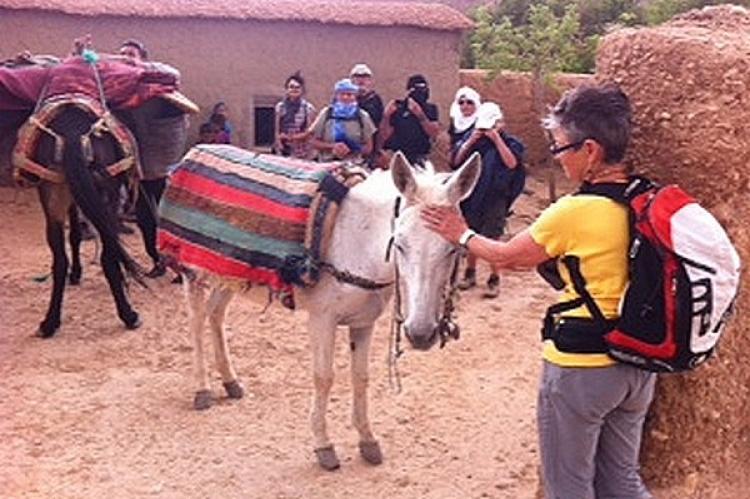 Chargement des mules avant départ pour Amajgag avec un col a 2000.