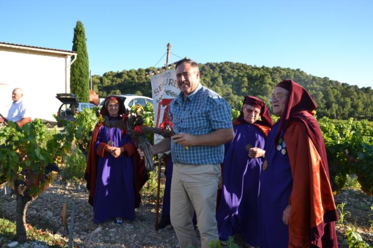  la Confrérie des Chevaliers de Gouste de Séguret 