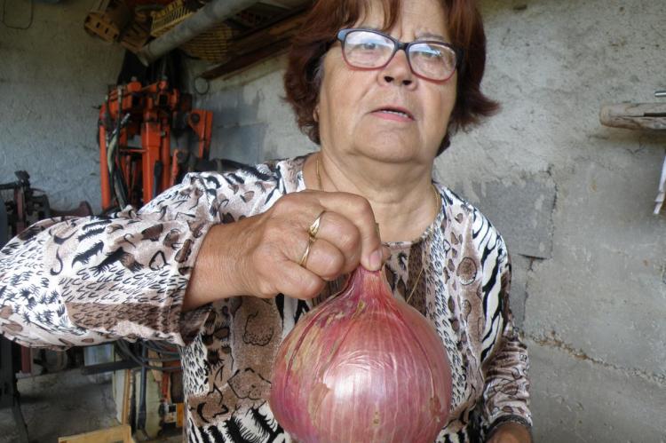 Evelyne Piquet et un des oignons