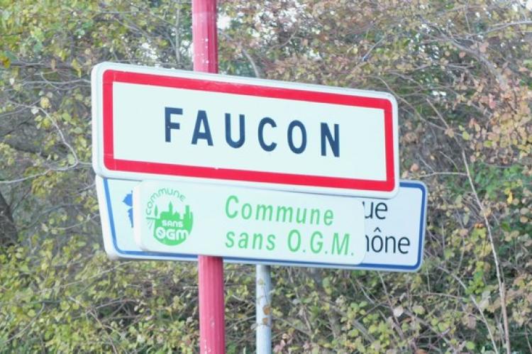 Plaque Faucon