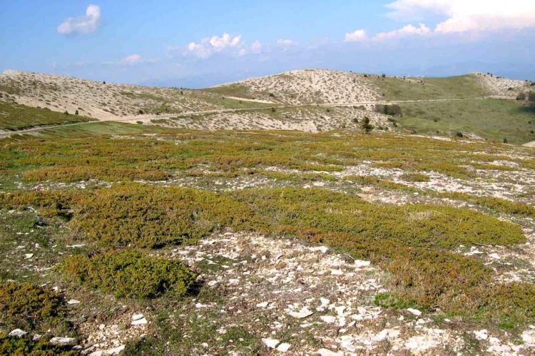 La montagne de Lure a été magnifiée dans l’œuvre de Giono. 