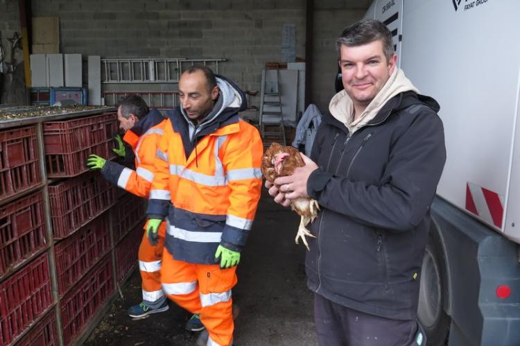 Cyril Lanti et une de ses poules