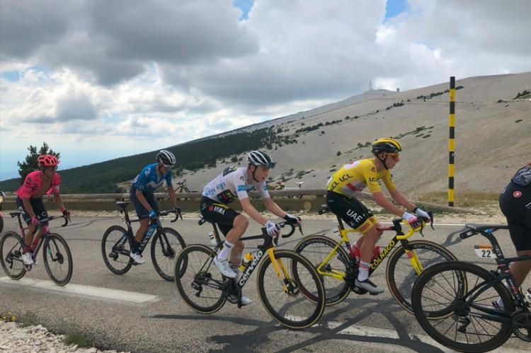 © Carole Apack – Ventoux Magazine