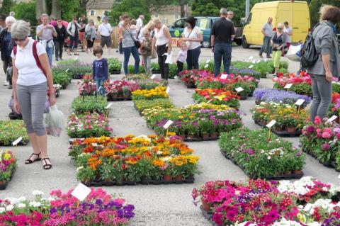 Fleuralies 2017