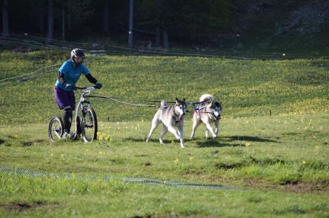 canotrottinette