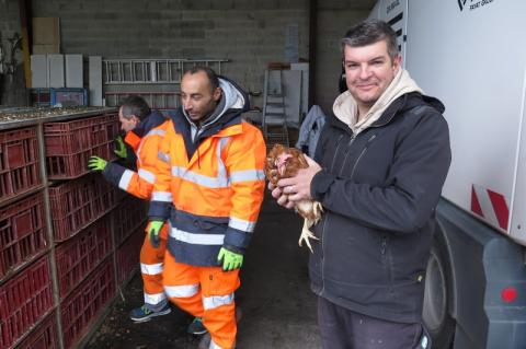 Cyril Lanti et une de ses poules