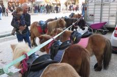 Les poneys font toujours la joie des enfants.