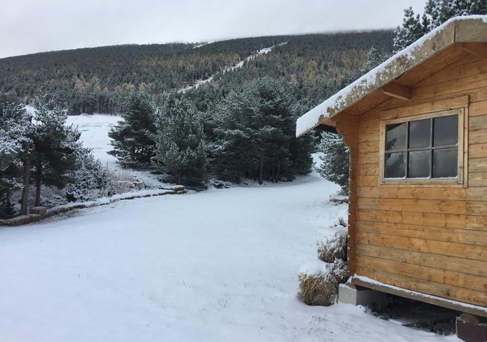 LE DICTON « UNE NEIGE EN APPELLE UNE AUTRE » SE CONFIRMERA-T-IL ?