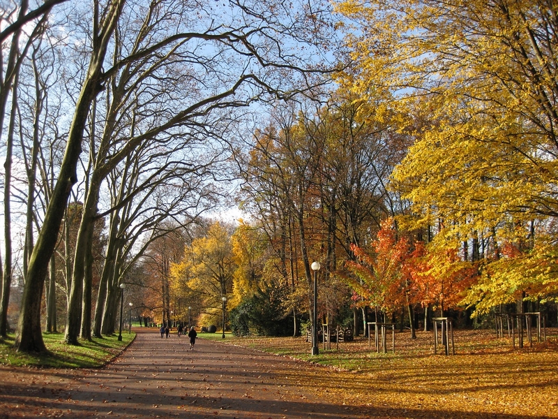 Parc Parc