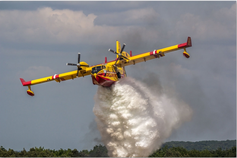 FEU DE FORÊT