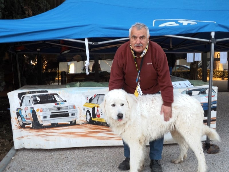 CHIEN PERDU