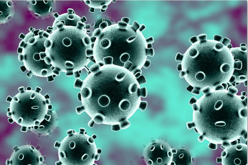 CORONAVIRUS EN PACA
