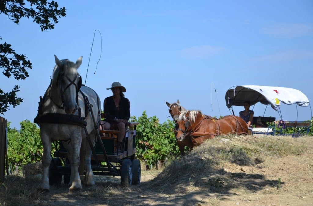 LA FETE D’HUE VIN : DES ANIMATIONS POUR TOUTE LA FAMILLE AUTOUR DU CHEVAL ET DU VIN
