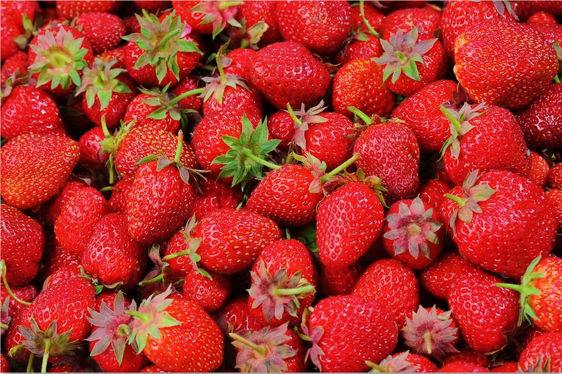 LA FRAISE DE CARPENTRAS EN DIFFICULTÉS