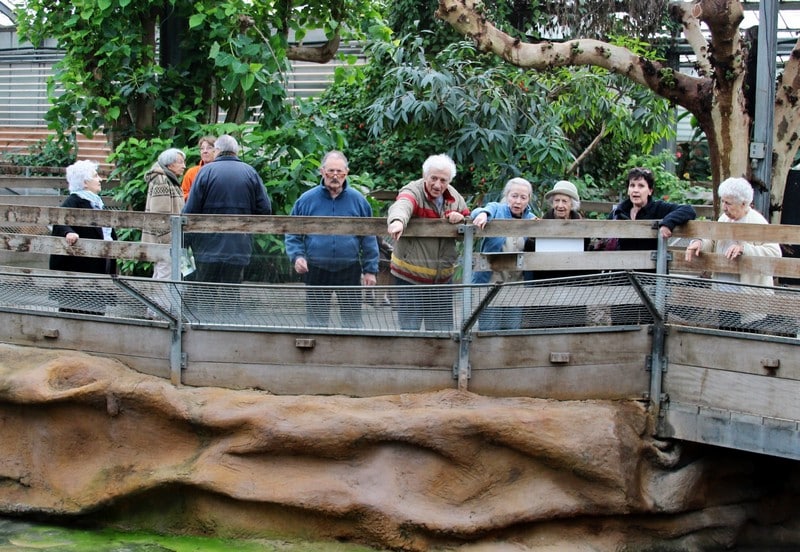 LES ANCIENS CHEZ LES CROCODILES