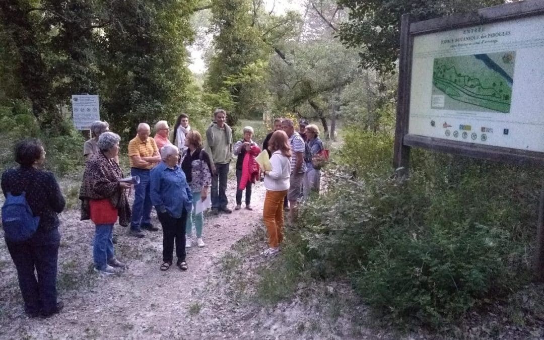 LA FÊTE DE LA NATURE AVEC INTERCALLIS