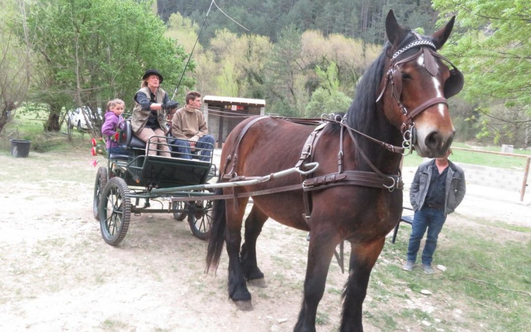UNE FÊTE DE L&rsquo;ATTELAGE SOUS LA GRISAILLE