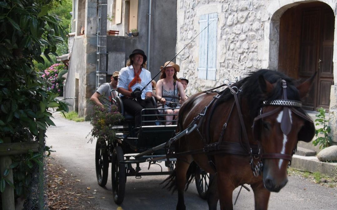 DIMANCHE, FÊTE DE L&rsquo;ATTELAGE