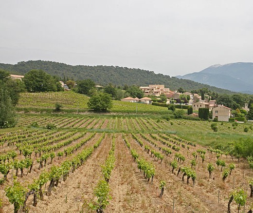 UN VILLAGE À L’HEURE DU COVID 19