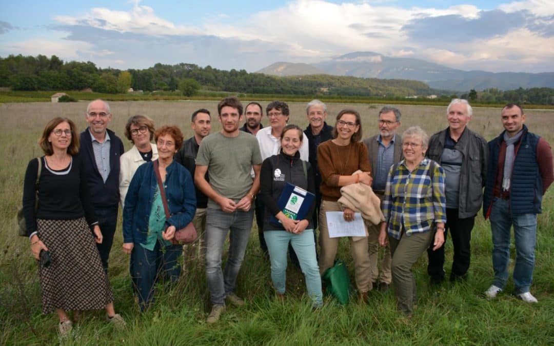 LE DEVENIR DES FRICHES AGRICOLES