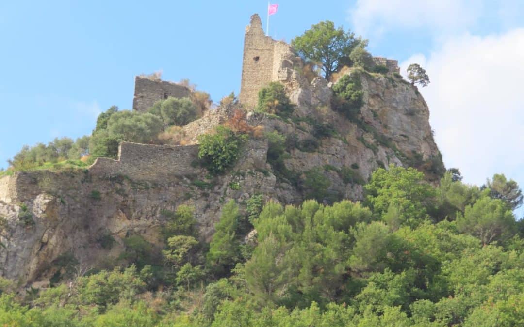 LA SAUVEGARDE DU CHÂTEAU CONTINUE