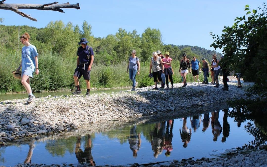 UNE SORTIE BOTANIQUE RAFRAÎCHISSANTE