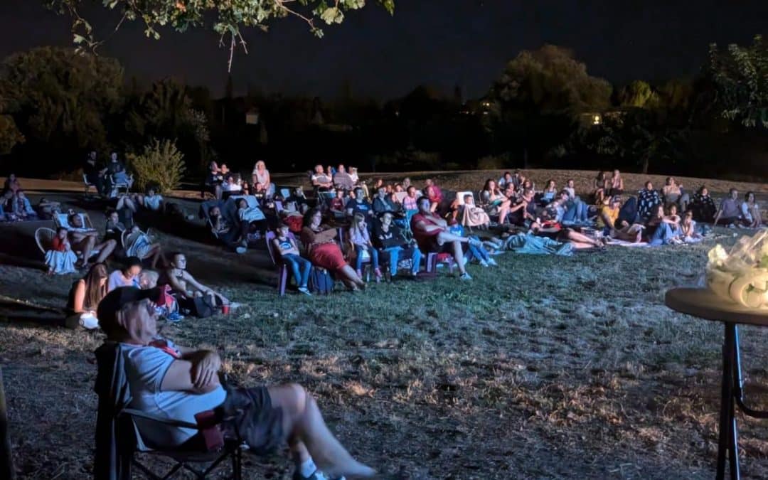 BONNE FRÉQUENTATION DU CINÉ PLEIN AIR