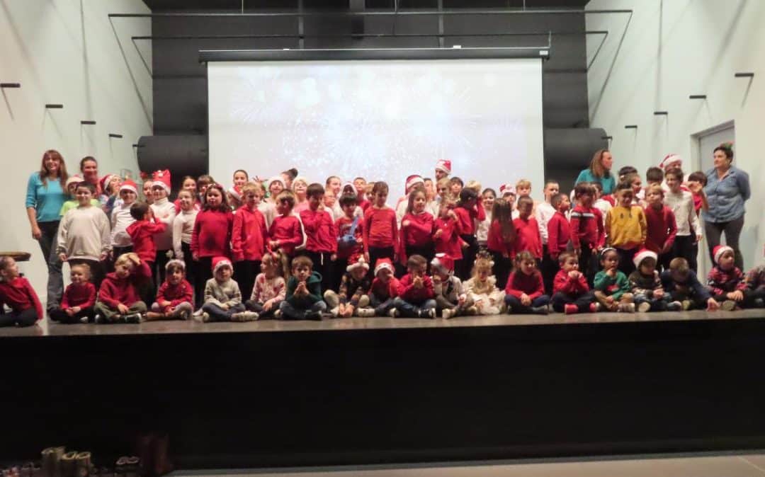 TRÈS BEAU SPECTACLE DE NOËL