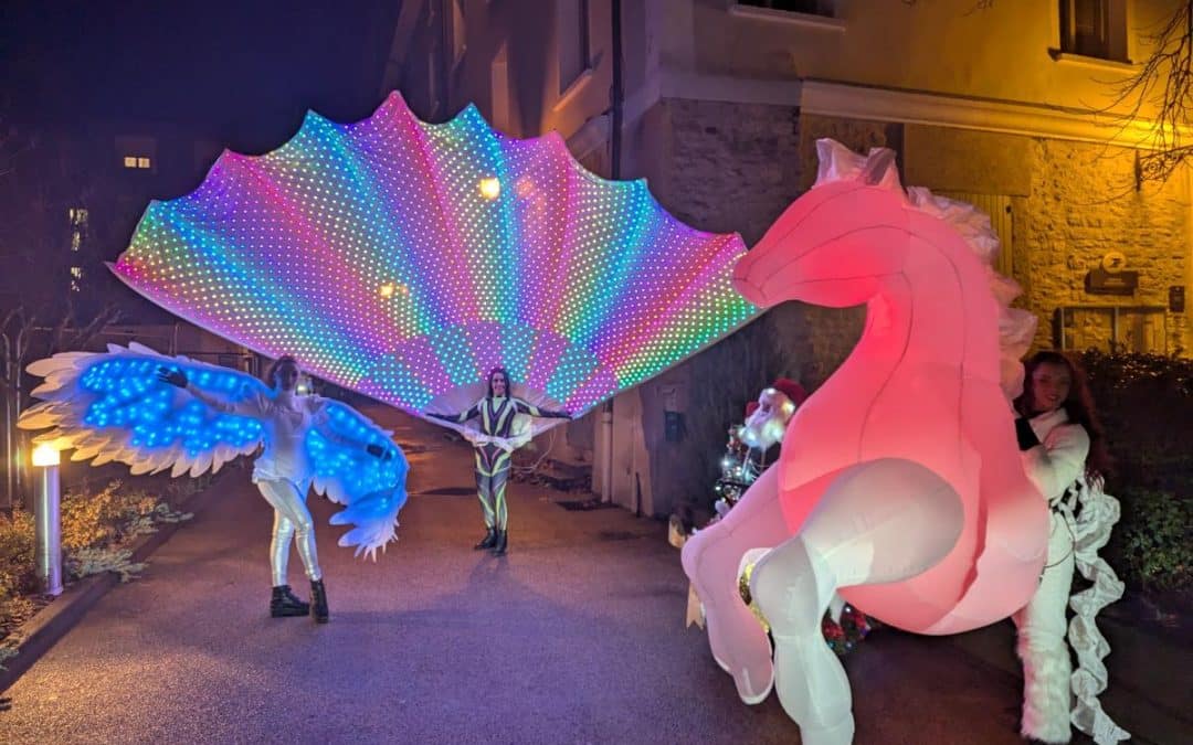 FÉÉRIE DU MARCHÉ DE NOËL