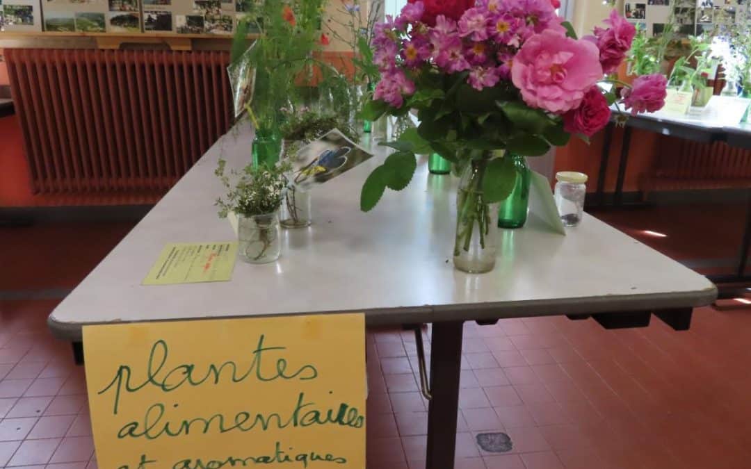 UNE EXPOSITION À NE PAS MANQUER