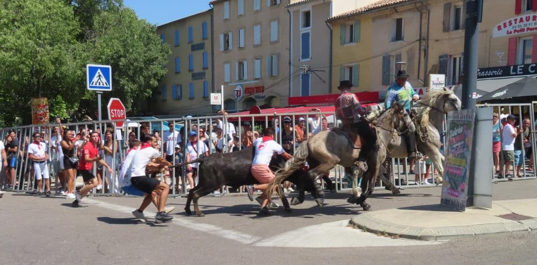 LE WEEK-END PROCHAIN GRANDE FÊTE TAURINE