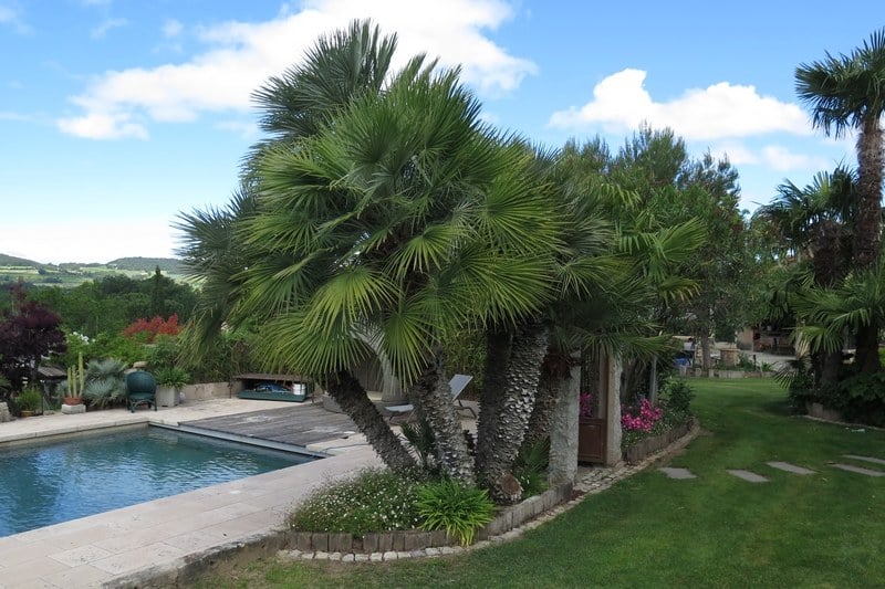 RENDEZ-VOUS AU JARDIN BOYER