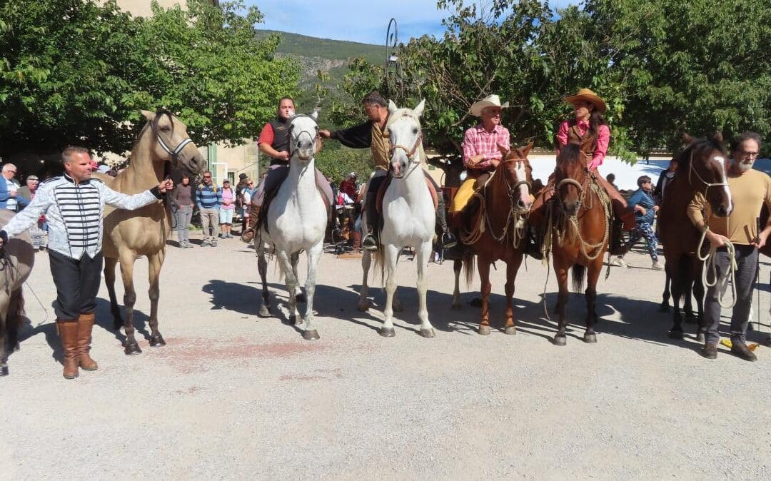 ÉNORME SUCCÈS DE LA FÊTE DES ÉLEVEURS ET DU CHEVAL