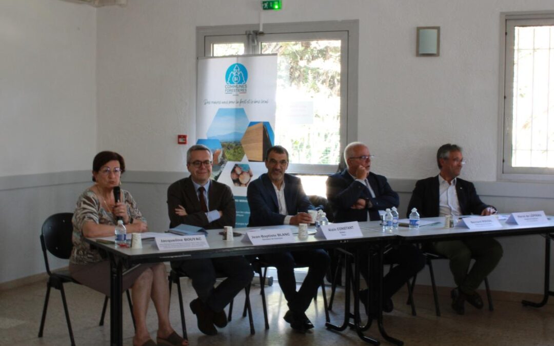 DES MAIRES UNIS POUR LA FORÊT ET LE BOIS COMMUNAL