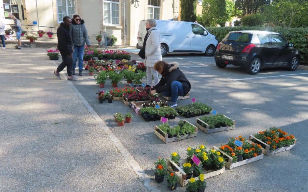 UN MARCHÉ AUX FLEURS SOUS LE VENT ET LE FROID