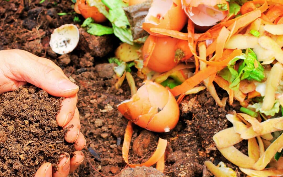 Opération distribution gratuite de compost