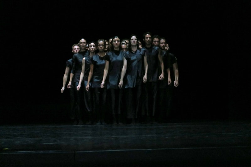 Vaison Danse : Mycélium