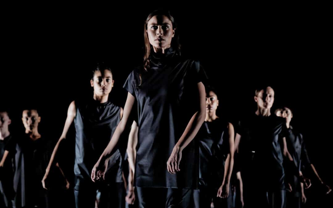 Vaison Danses : “MYCELIUM”